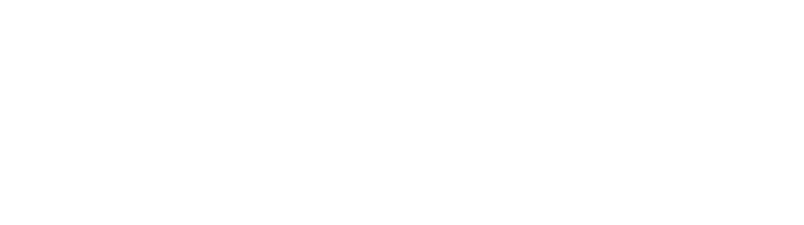 Nexus logo
